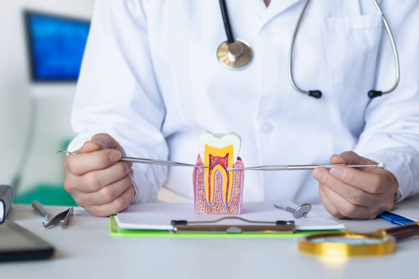 Best Broken or Chipped Tooth Repair in Lyles, TN